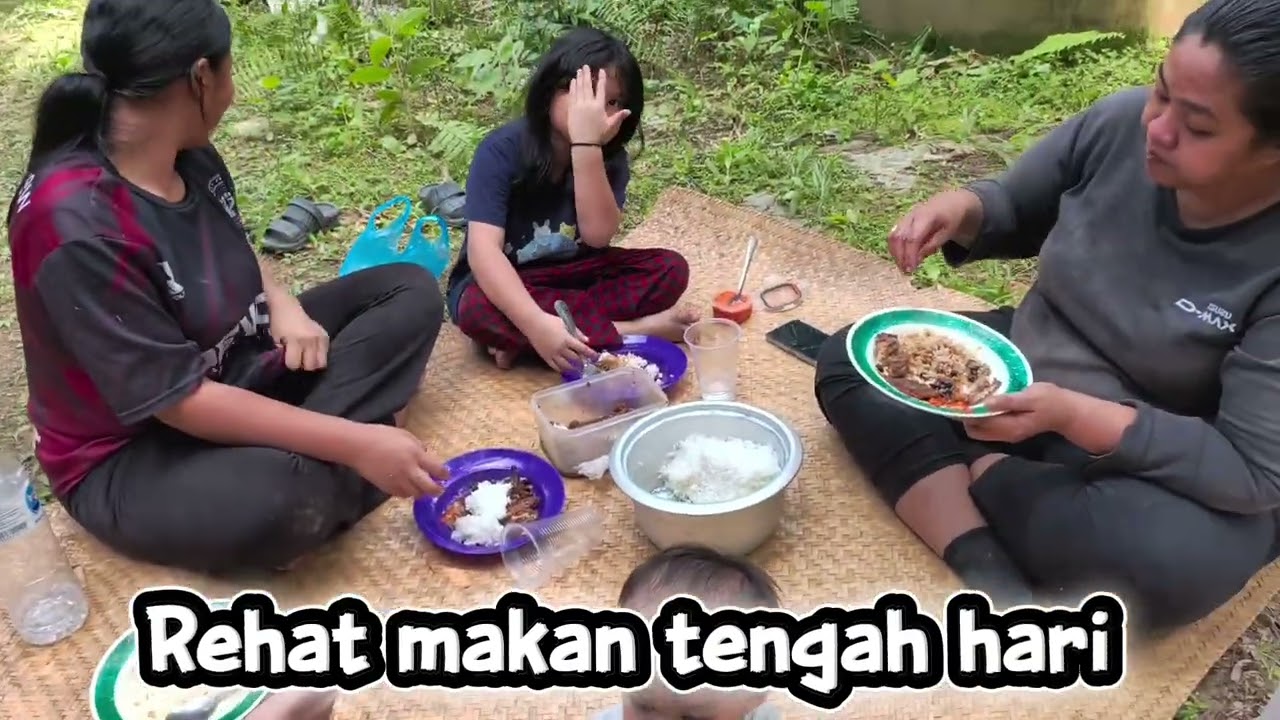 Panen sawit muat muatan lebih..//18.10.2025