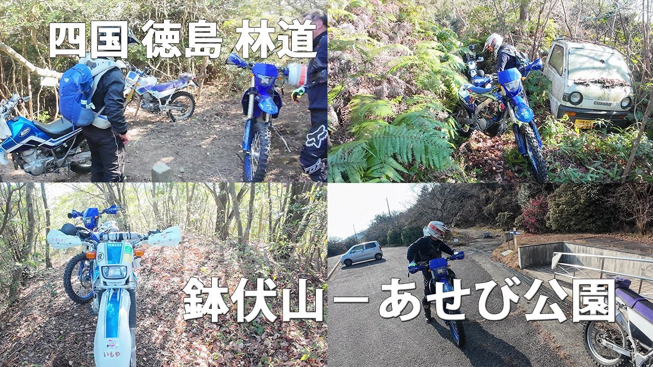 四国 徳島 林道  鉢伏山－あせび公園
