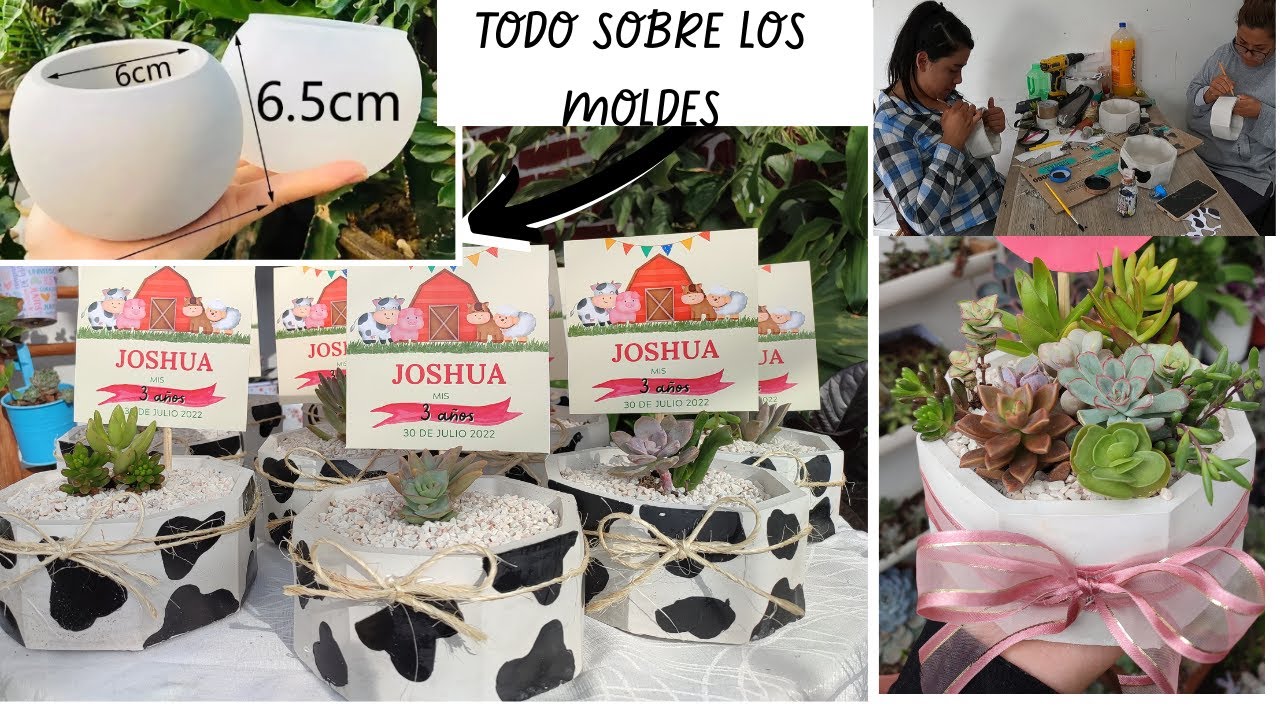 ASI ESTOY GANANDO DINERO PARA COSTRUIR NUESTRA CASA /// TODO SOBRE LOS MOLDES DE SILICON