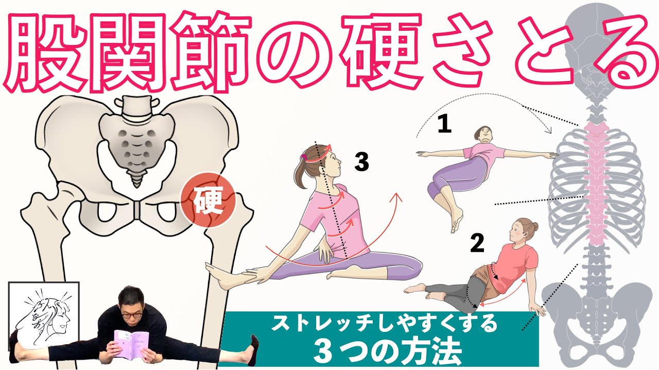 【股関節硬い】ストレッチしづらい意外な原因と硬さをとる３つの方法|開脚