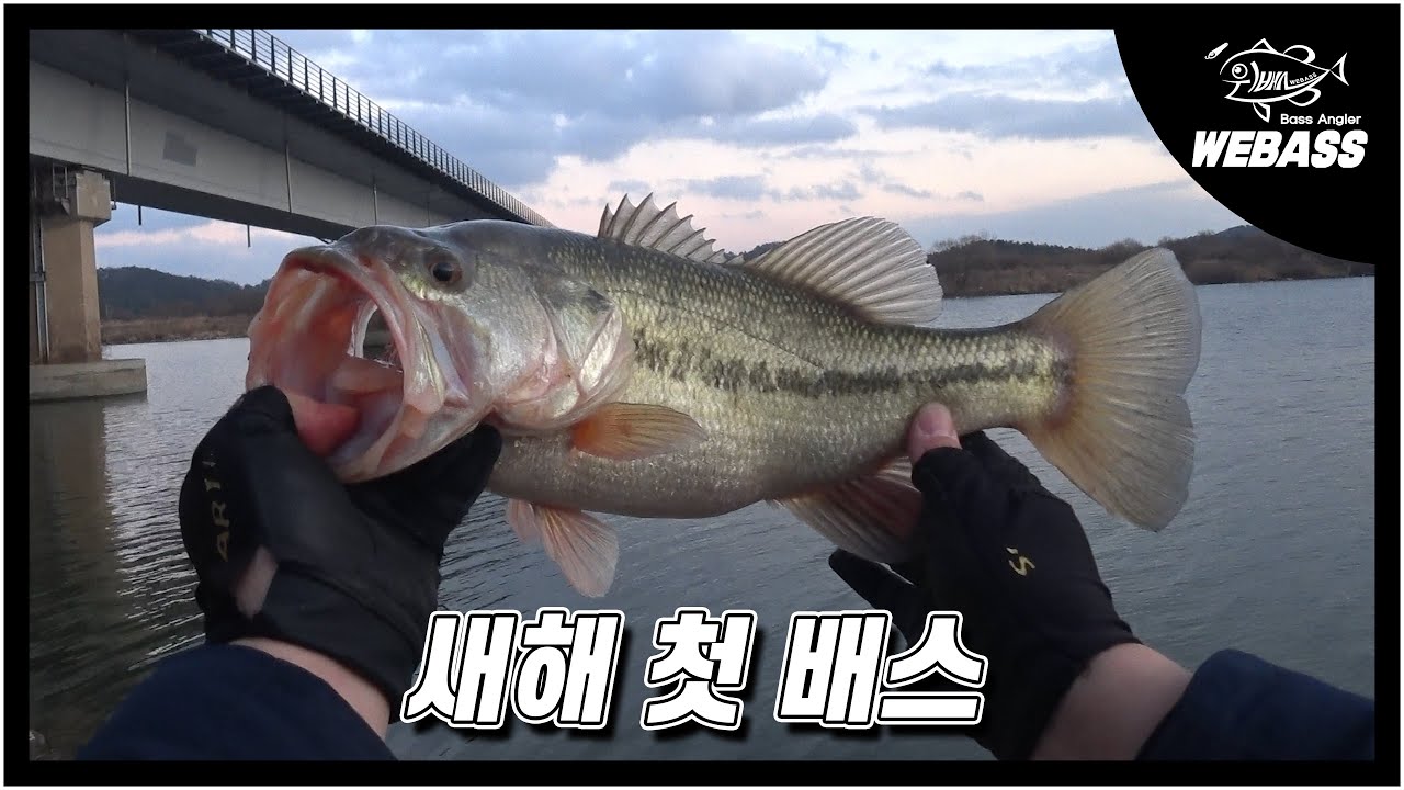 [배스낚시] 26년 첫 배스는 만나셨나요? Ep.239