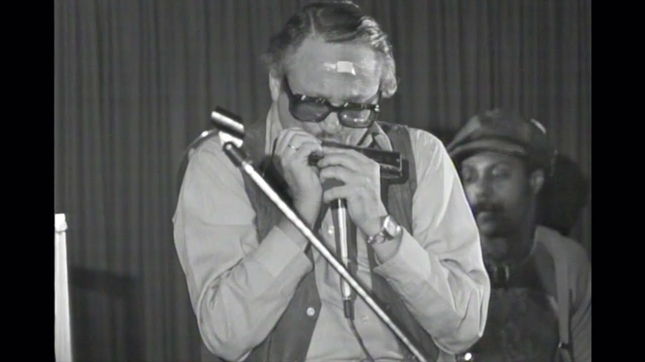 The Midnight Cowboy Theme (John Barry) - Toots Thielmans 1978