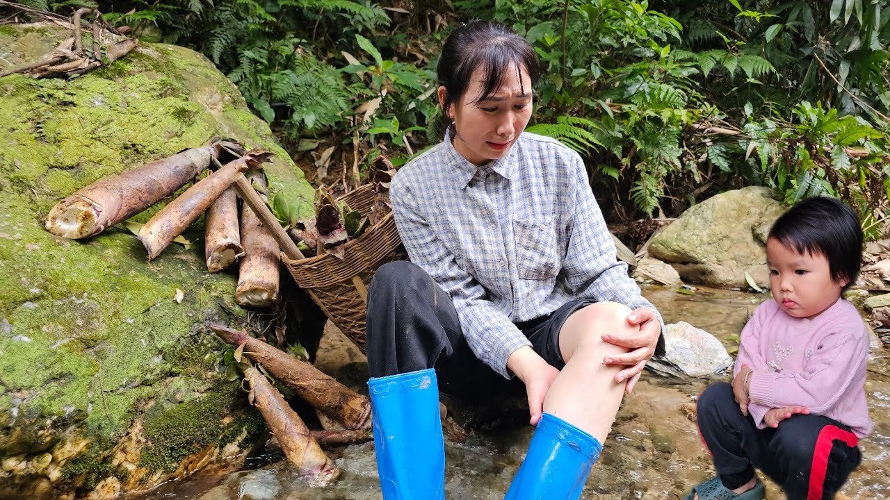 Nostalgia: Digging bamboo shoots in the deep forest to sell - Take care of my daughter| Living alone