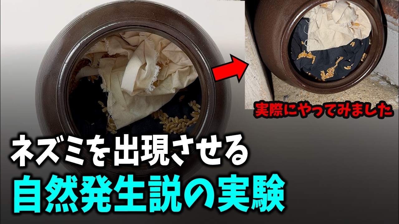「ネズミが発生する…？」伝説の実験をやってみた