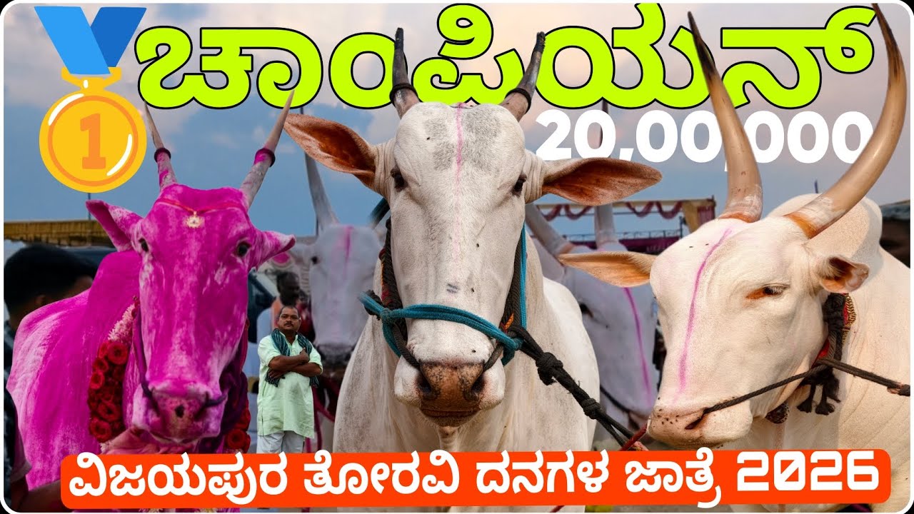 ವಿಜಯಪುರ ಜಾತ್ರೆಯಲ್ಲಿ ಚಾಂಪಿಯನ್ ಘೋಷಣೆ 🥇 ಮುಂದಿನ ವರ್ಷಕ್ಕೆ 20 ಲಕ್ಷ ಫಿಕ್ಸ್!"😱