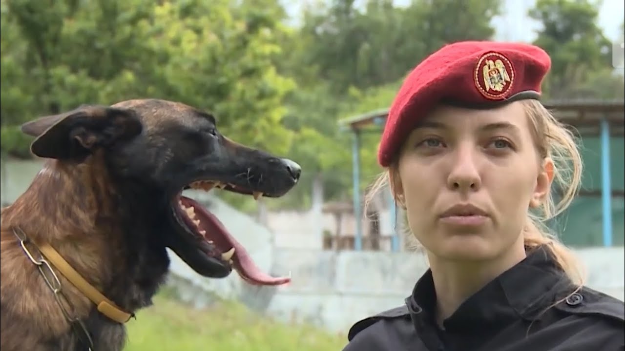 Femeile Moldovei: Nicoleta Belîi, chinolog la Batalionul cu Destinație specială „Scorpion”