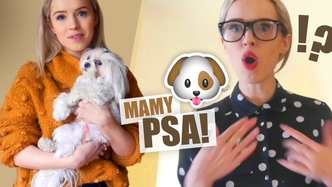 MATKA VS C&Oacute;RKA  - MAMO, MAMY PSA! KONKURS 🐕🐈 | ŚWIATOPOBLOND