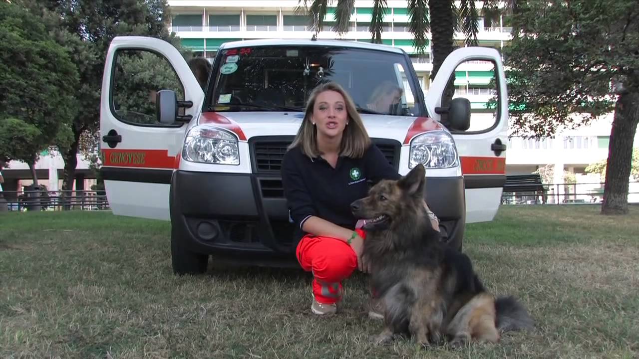 BUIO PESTO - Can e Gatto
