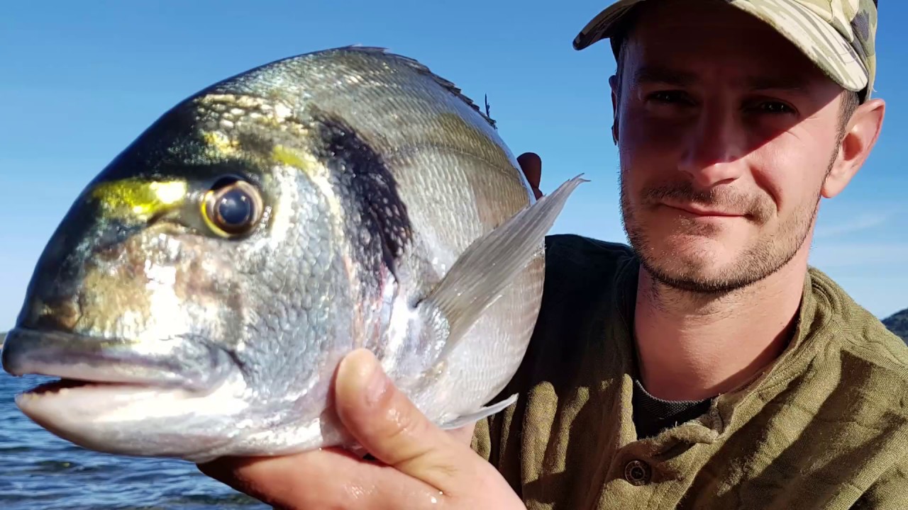 P&ecirc;che XXL en mer no kill 2018