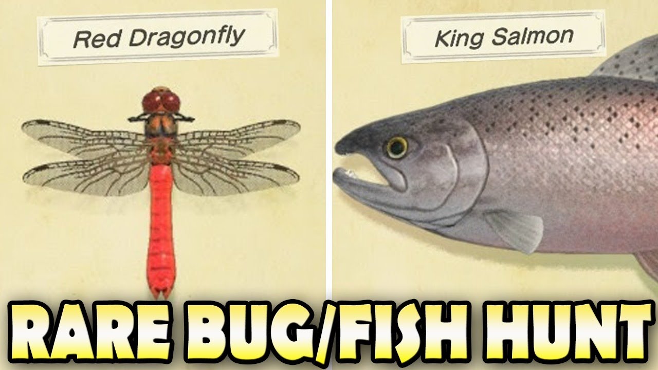 🐛🐟 [SEPT] CATCHING ALL NEW BUGS & FISH In Animal Crossing New Horizons