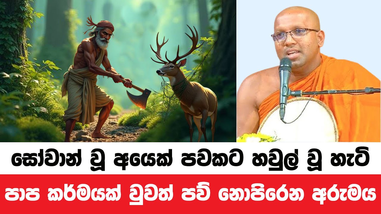 පාප කර්මයකට හවුල් වුවත් පාපයක් සිදු නොවන අරුමය මෙයයි | Kelaniye Sasanawansa Thero | Dharmadeshana 19