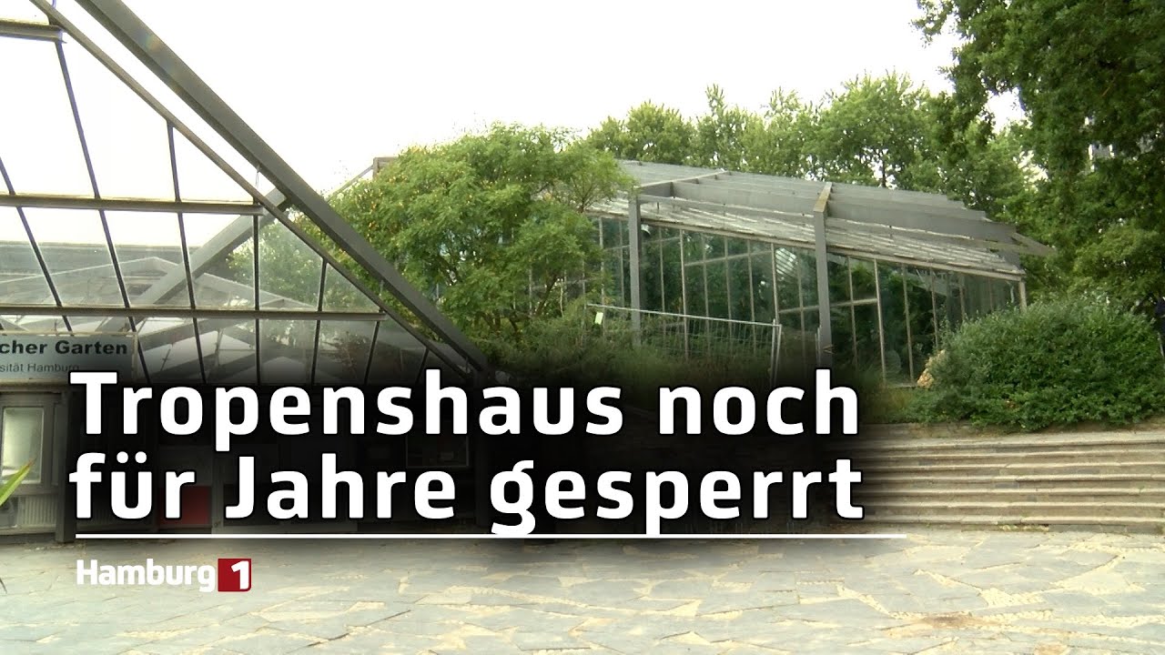 Wiedereröffnung für 2029 geplant: Sanierungspläne für das Tropenhaus in Planten und Blomen