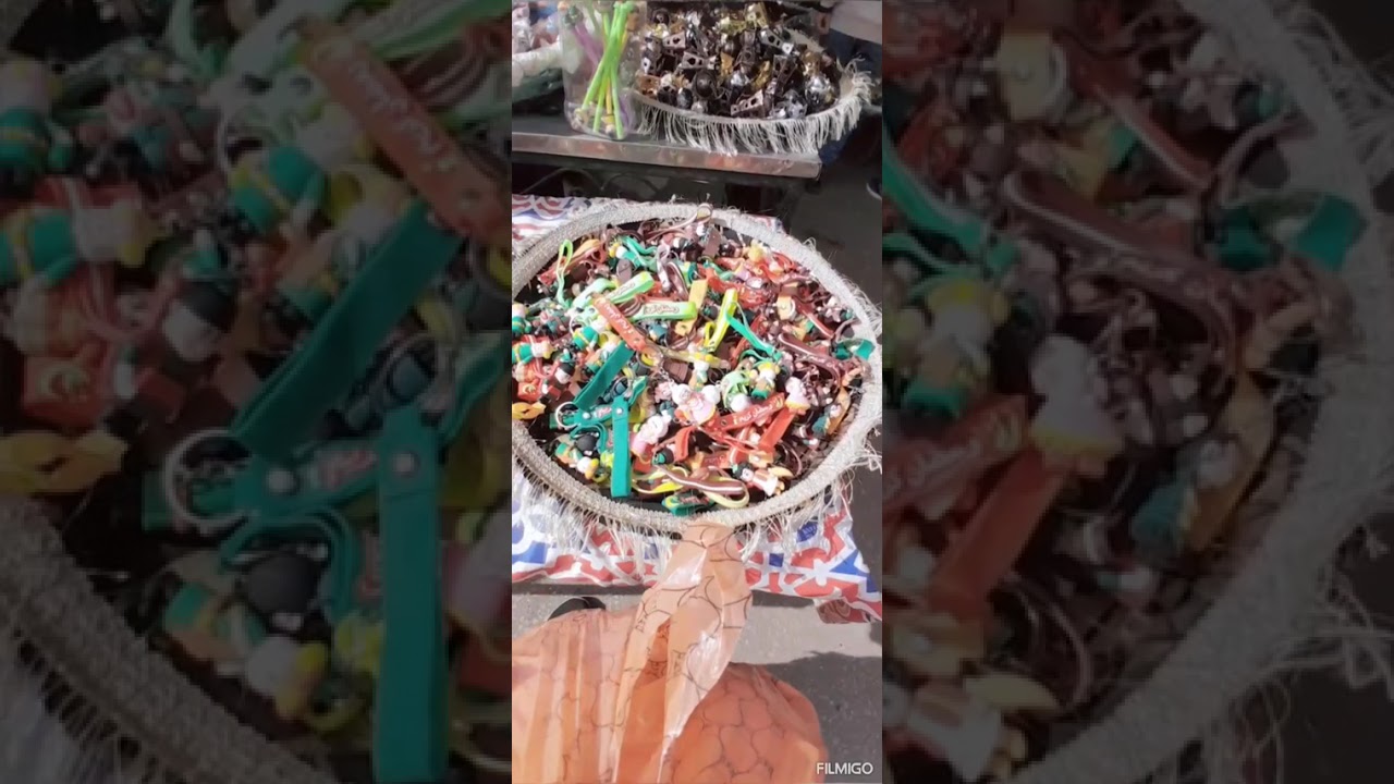 زينه وفوانيس رمضان في السيده زينب 