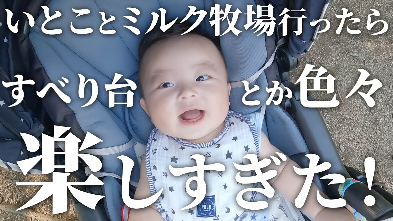 【生後5ヶ月】すべり台の反応が可愛すぎる赤ちゃん！２歳の従兄弟とミルク牧場行ったら楽しすぎた！【可愛い】