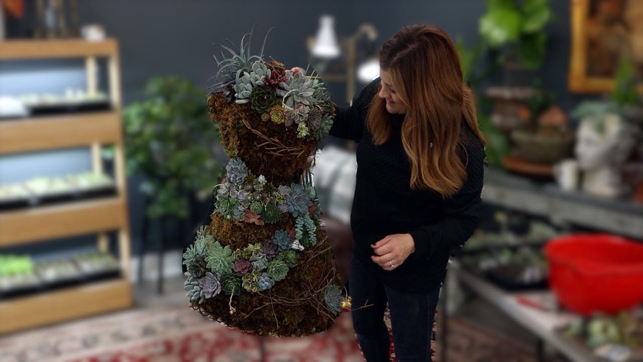 Посадка суккулентов в кашпо! 💚🌿🥰 // Garden Answer
