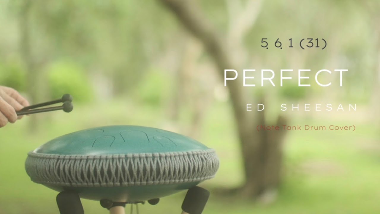 Perfect | Ed Sheeran | Note Tank Drum Cover #perfect #musical #tankdrumcover #空灵鼓
