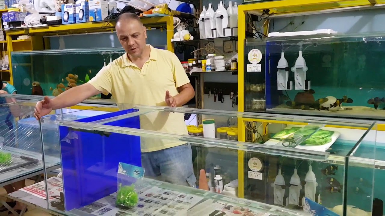 SUMP NEDIR NASIL OLMALI 2018?