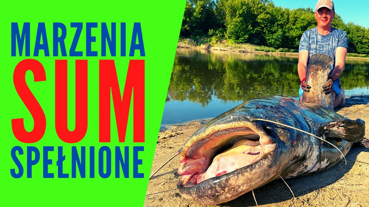 Sum gigant na zrywkę. Spełniliśmy wędkarskie marzenia!