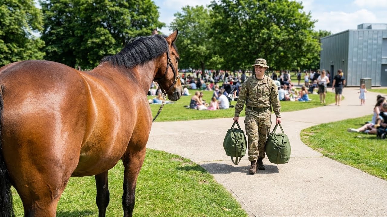🐈 🥰🥰 Soldier Dad's Return After Years, Horse Jump for Joy! #horse