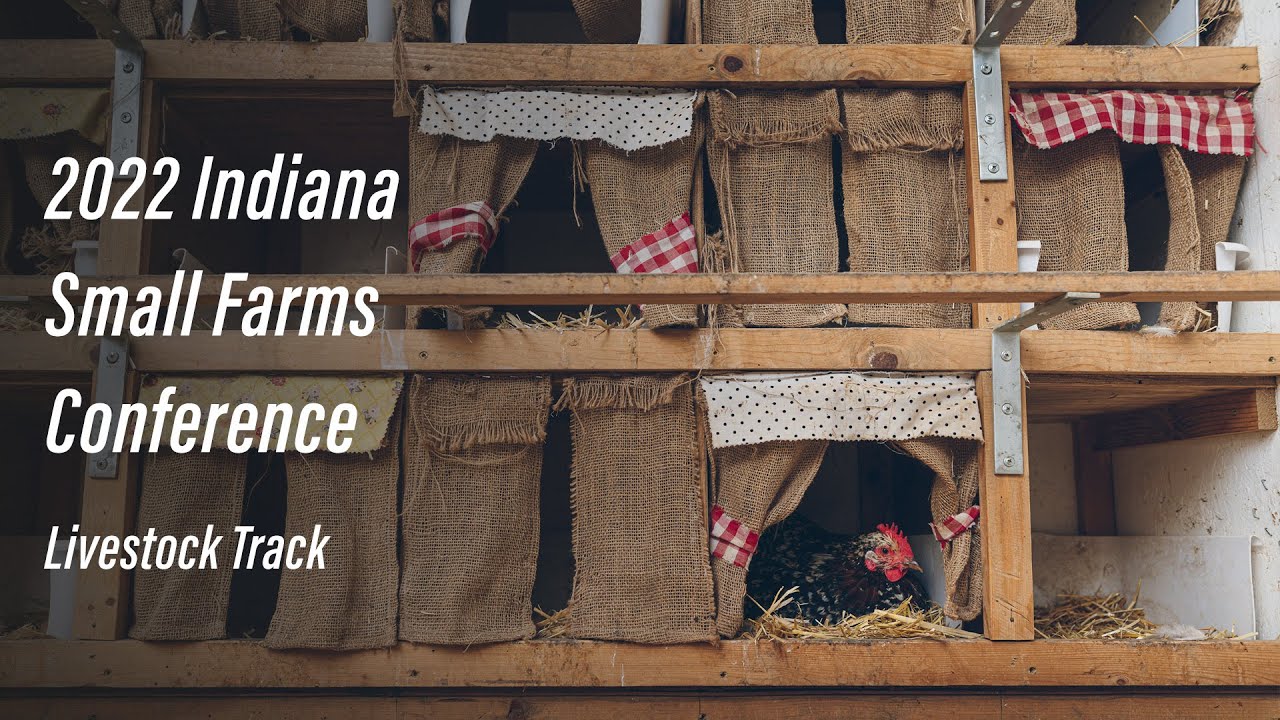 On-Farm Processing and Marketing of Chickens and Rabbits - 2022 Small Farms Conference