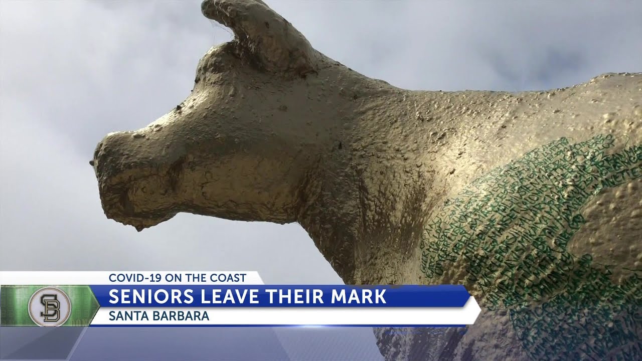 Santa Barbara High School honors Class of 2020 with golden cow