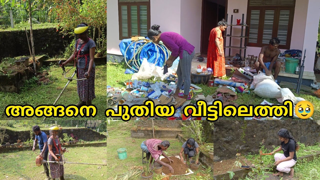 New Rent Home Organising Vlog🥰 Garden Setting/പുതിയ വാടക വീടിനെ ഒന്ന് അടിപൊളിയാക്കാം😱/Cleaning vlog