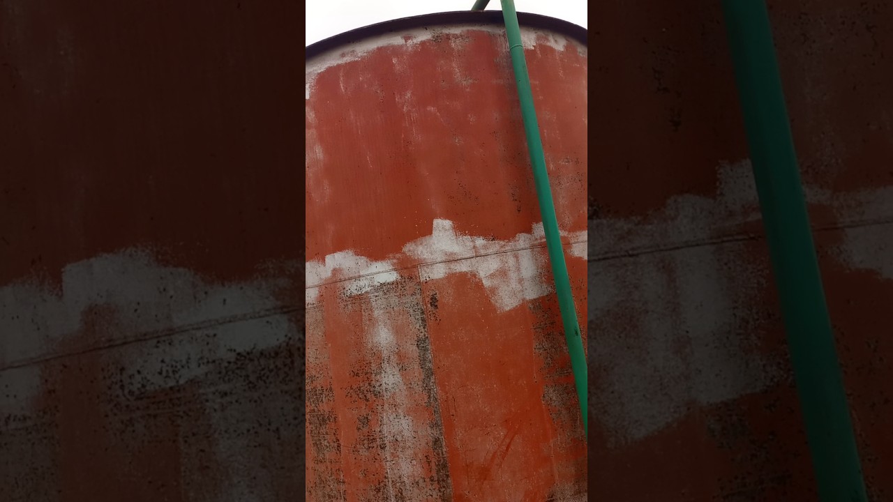 MEU AMIGO SUBIDA CARTA BEM GRANDE TREINAR CARRETA TUBARÃO SOLTAR NA CASA DO NAVIO SOM SAL 🛳️🥹