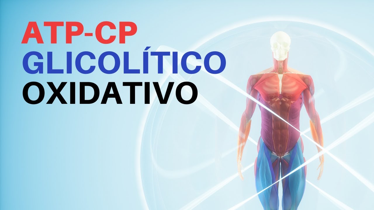 ENTENDENDO A BIOENERGÉTICA - REPOST