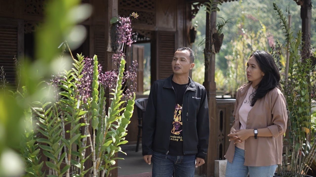 BERTANI ITU KEREN - ANGGREK TAMAN ARJUNO - BUDIDAYA ANGGREK, LAWANG, KAB. MALANG