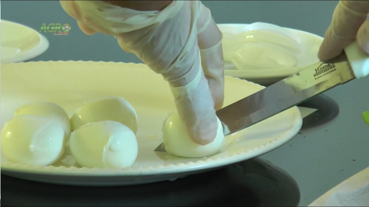 Leche de Búfala