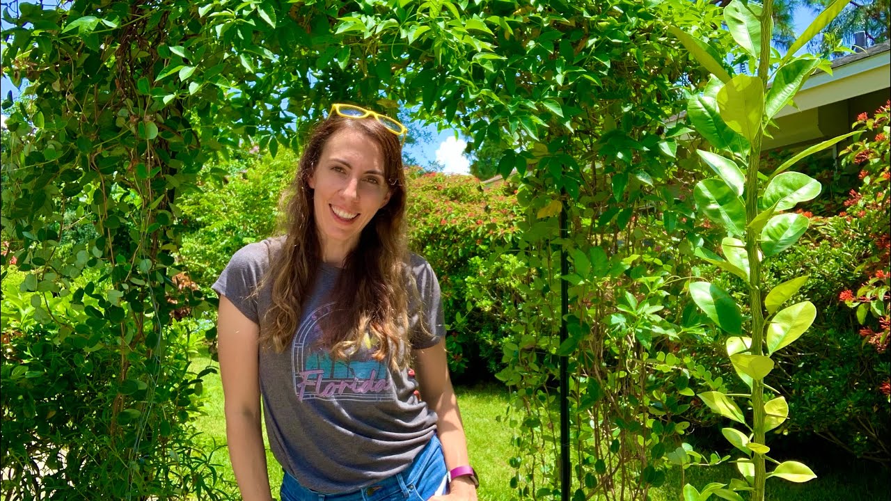 Summer Native Butterfly Garden Tour | Butterfly Garden Florida | Florida Native Plants