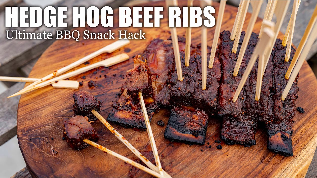 I Created HEDGE HOG BEEF RIBS the Ultimate BBQ PARTY HACK