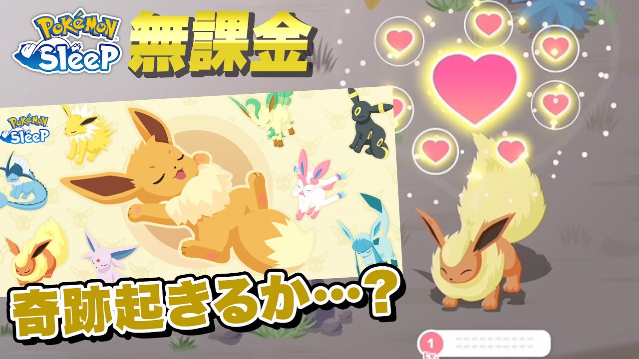 【ポケモンスリープ無課金】イーブイウィークで奇跡を起こせるか…！！？？【11/18〜11/24】
