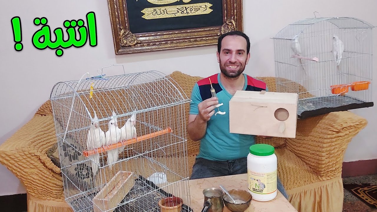ازاى تشترى البينو كوكتيل من غير ما ينضحك عليك