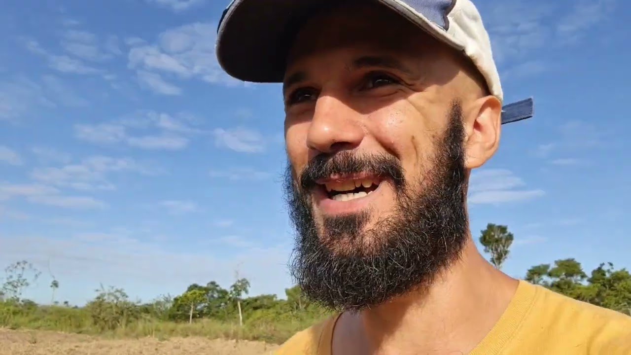 Pineapple + Brazilian Pepper in Agroforestry = WIN? | FOOD FOREST |
