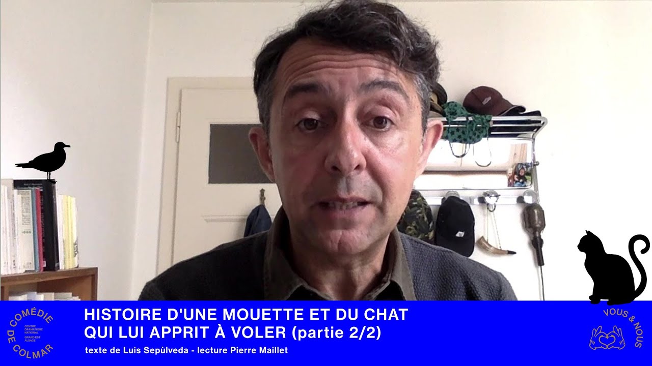 HISTOIRE D'UNE MOUETTE ET DU CHAT QUI LUI APPRIT &Agrave; VOLER (Partie 2/2)