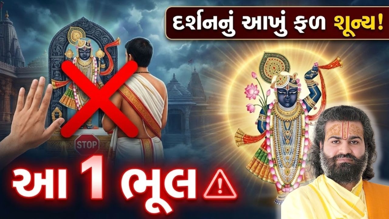 જો આ એક બધું પુણ્ય શૂન્ય થશે ખાસ સાંભળજો #pushtimarg #pustimarg