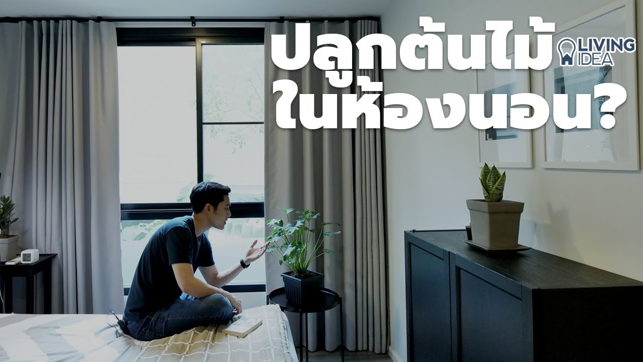 Living Idea : ต้นไม้ฟอกอากาศยอดนิยม ปลูกในบ้านก็ได้ ห้องนอนก็ดี