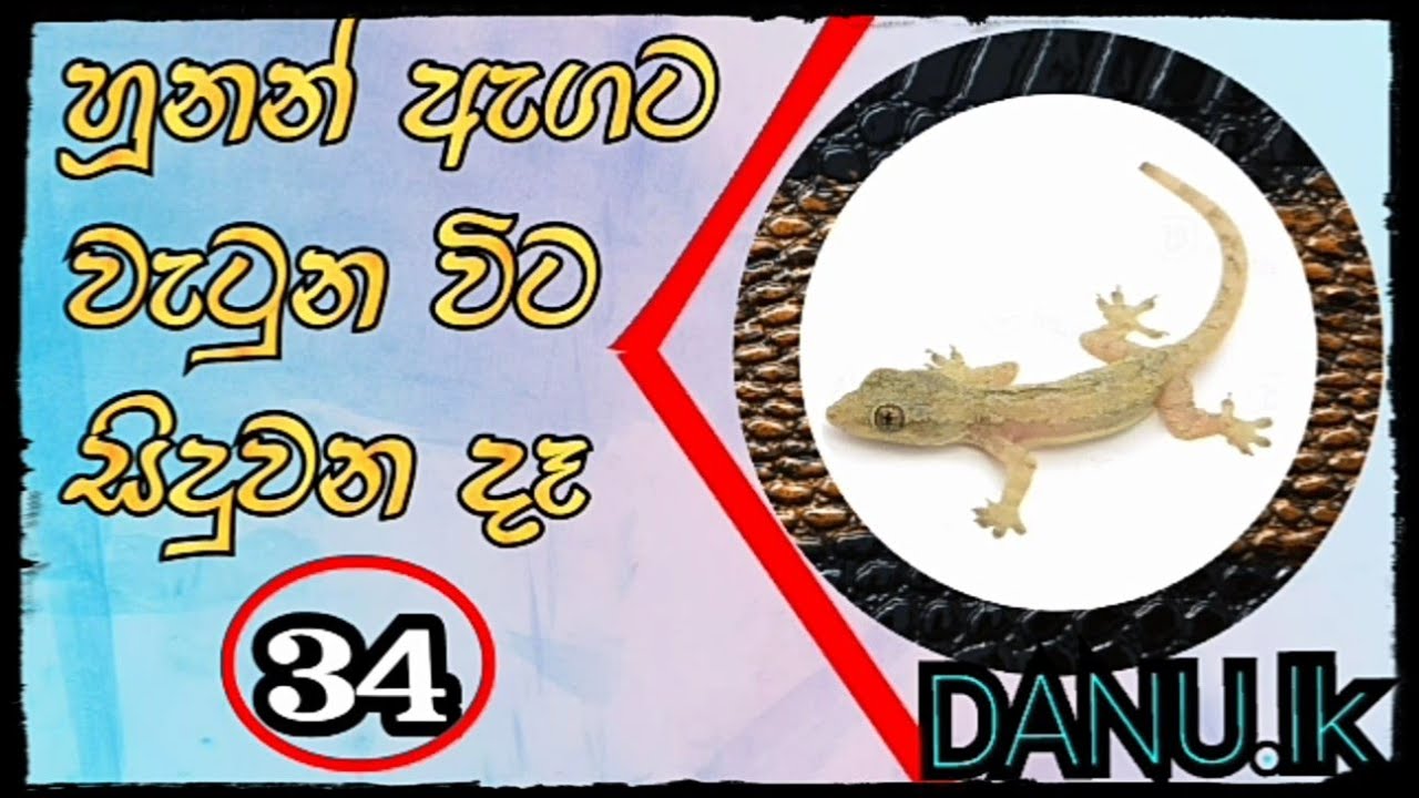 Hunan agata watima/Sinhala/DANU.lk