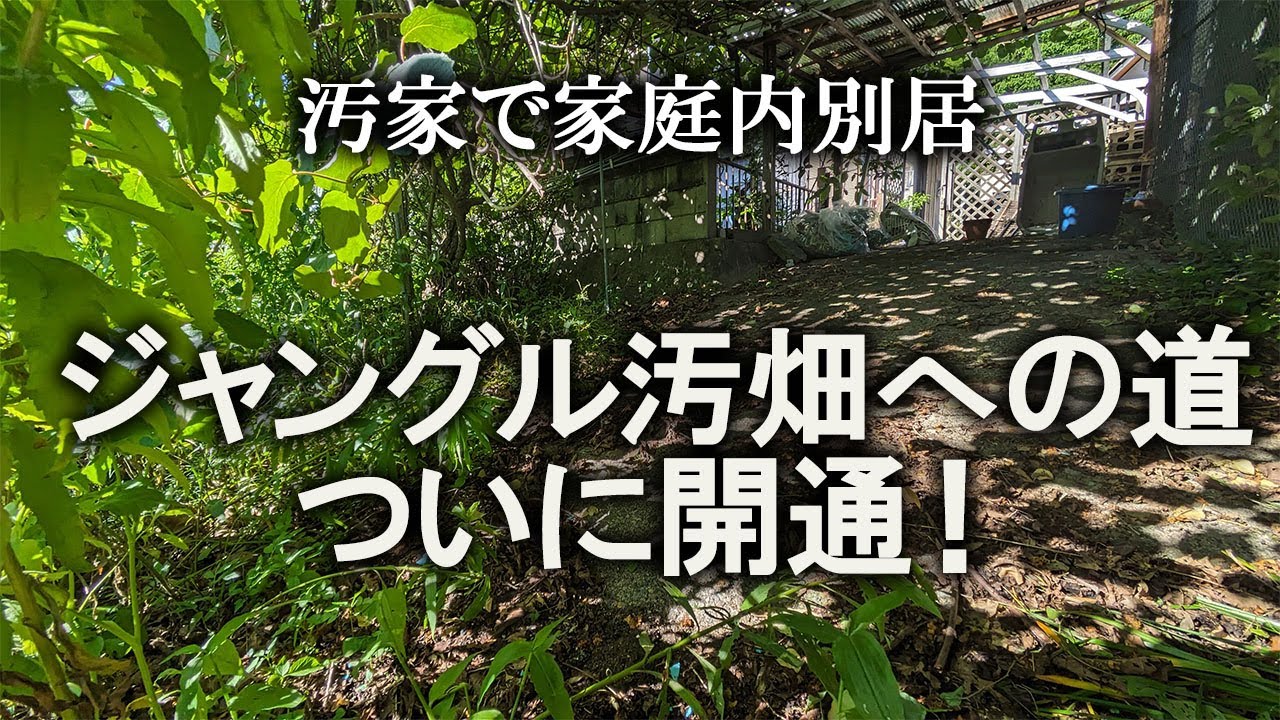 【片付け】全貌公開！荒れ過ぎで何もわからなかったけど、実は通路でした！｜汚部屋｜ズボラ主婦｜空き家｜汚庭｜庭仕事