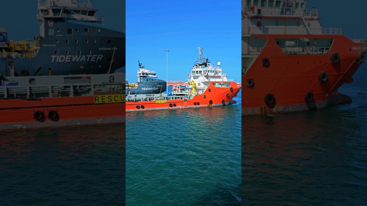 LIFE ON DP VESSEL | EXPLORE DP SHIPS WITH SAILOR AVINASH SINGH | HOW TO JOIN DP SHIP |