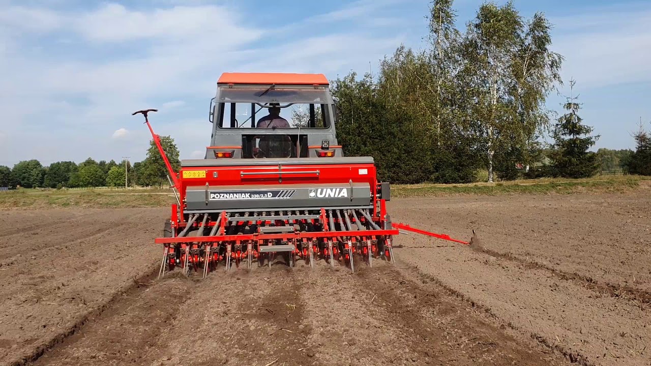 Siew żyta hybrydowego 2020