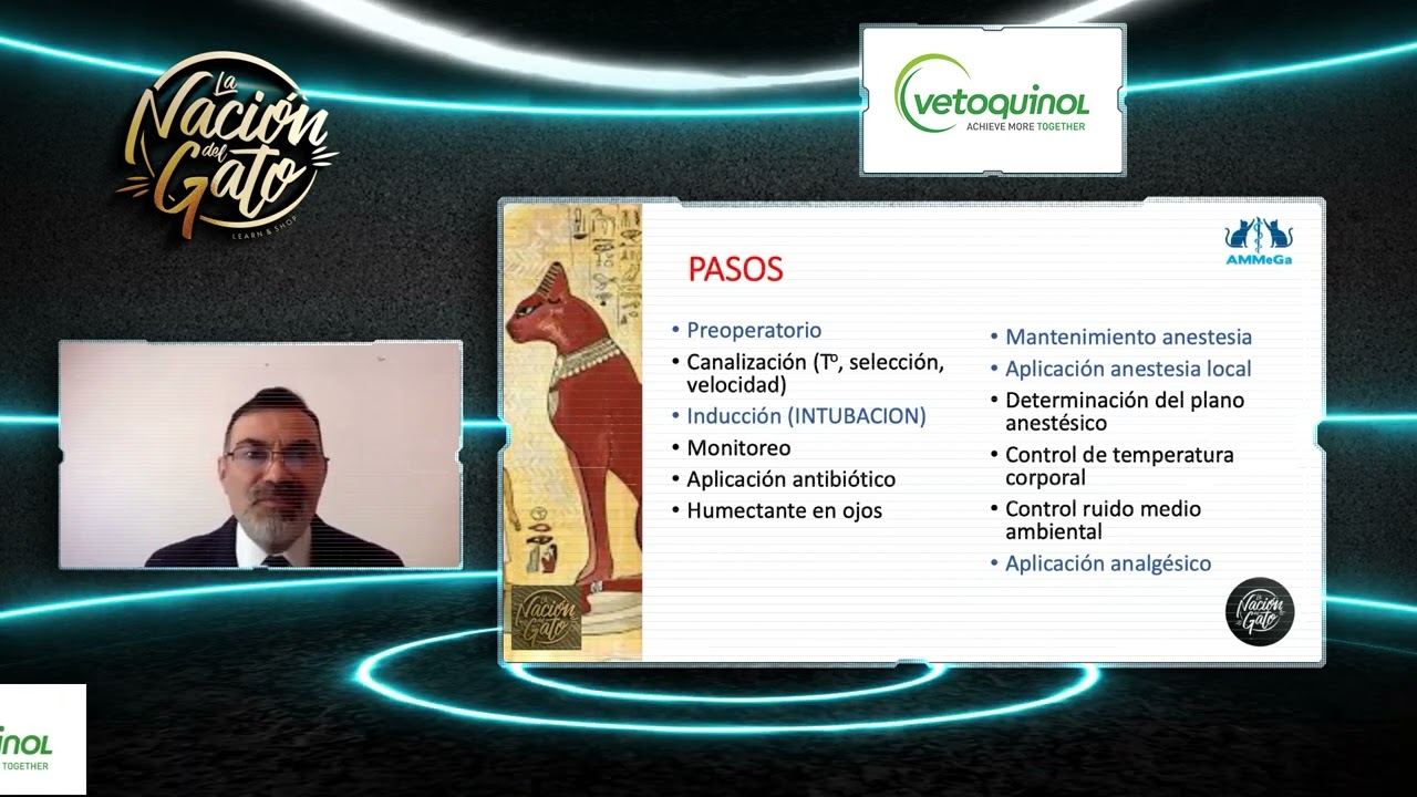 Dr Saul Martinez   Protocolos anestesicos para esterilizacion en gatos