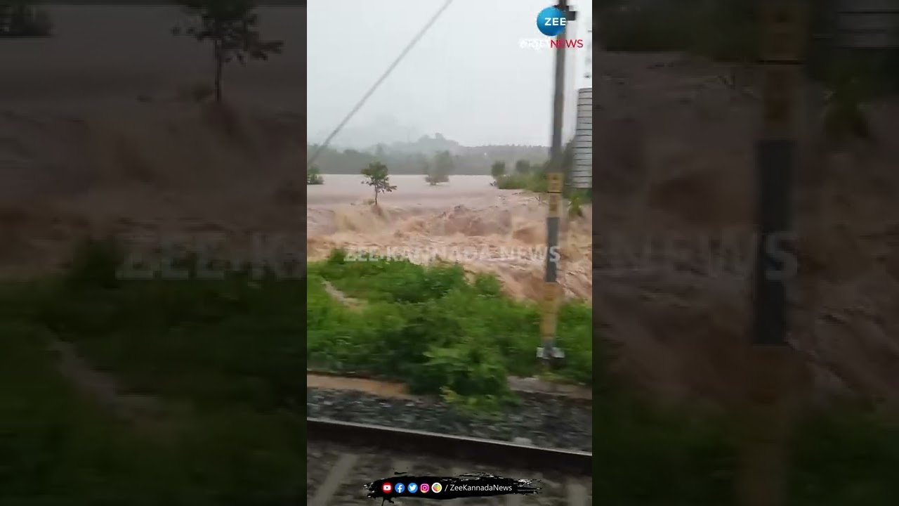 RAMNAGAR || RAIN || ರಾಮನಗರದಲ್ಲಿ ಮಳೆ ರಣಾರ್ಭಟ || Zee Kannada News