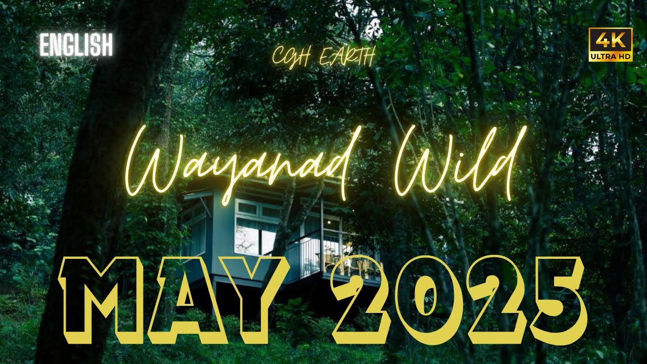 Exploring CGH Earth Wayanad | Honest stay experience and food review (English)
