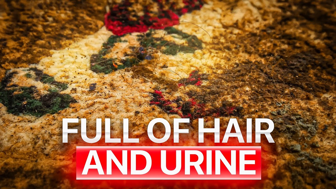 Urine Overload: Timelapse Restoration of a Filth-Infested Kennel Rug! Satisfying ASMR Timelapse