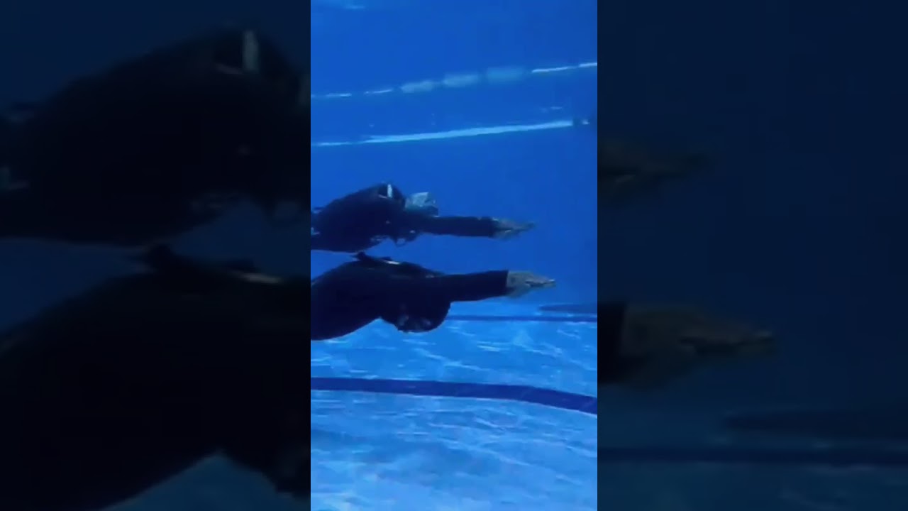 apnée training