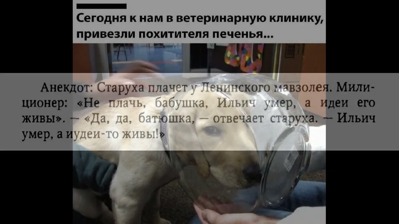 ЛУЧШИЕ МЕМЫ | Подборка 11