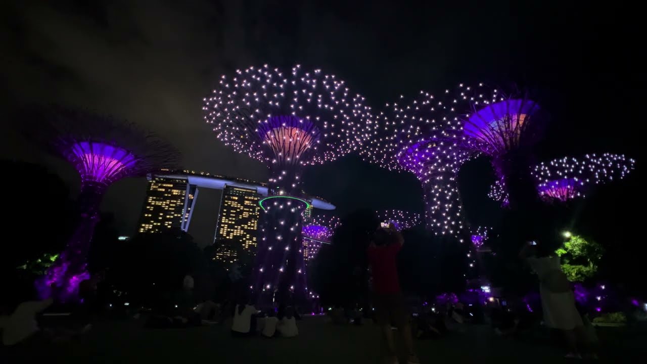 Magical Night Light Show at Gardens by the Bay!