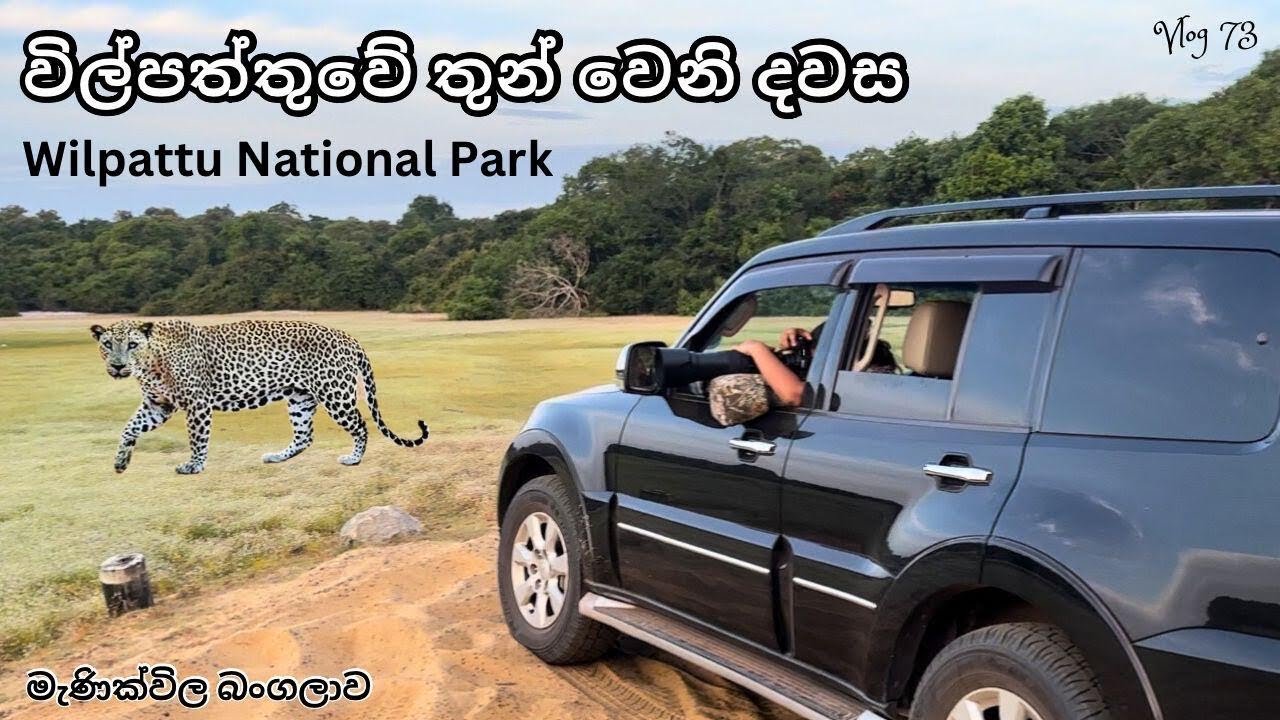 Day 03 | Wilpattu National Park - Sri Lanka | විල්පත්තු Wild Safari
